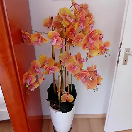 Apartamento Hristian *